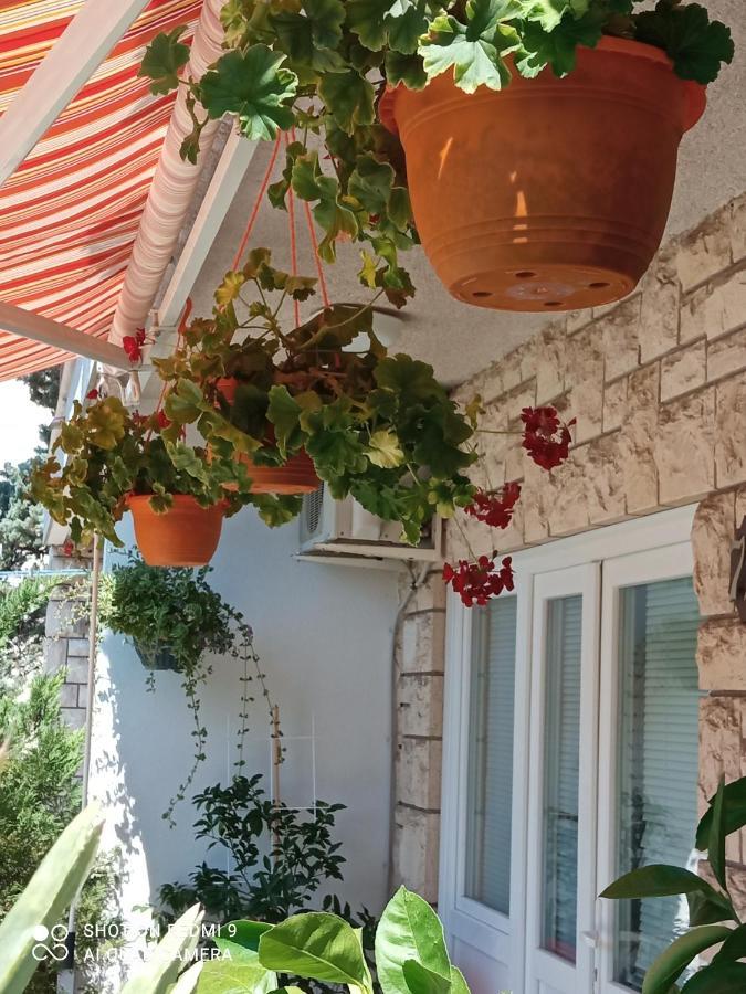 Sunce Apartment Кострена Екстериор снимка